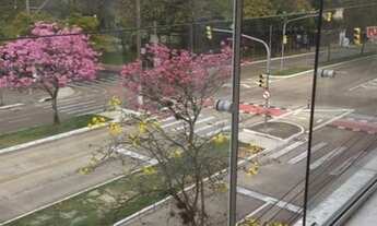 Imagem 3: 3 dorm. Amplo e reformado