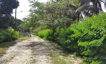 Imagem 3: 321)Lotes em Cações a 100m da Praia ( Rua tranquila sem saída e residencial