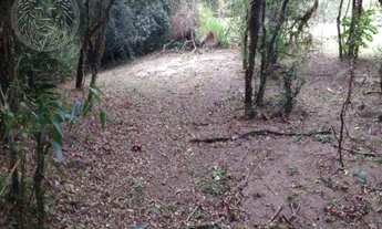 Imagem 7: FLORIANóPOLIS - Terreno Padrão - Ribeirão da Ilha