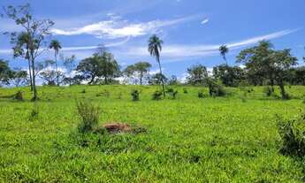 Imagem 4: Fazenda/Sítio/Chácara para venda possui 1000 metros quadrados com 2 quartos