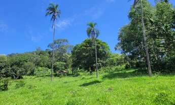 Imagem 3: Fazenda/Sítio/Chácara para venda possui 1000 metros quadrados com 2 quartos