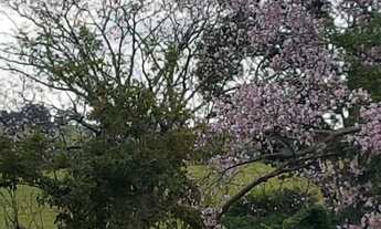 Imagem 2: Chácara 39 hectares com Cachoeiras a 14 km de Campo Grande