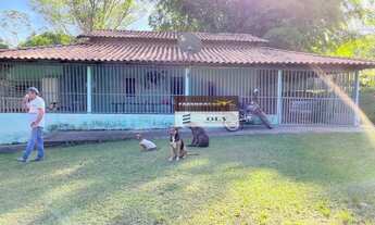 Imagem 4: Chácara Extra em Aparecida de Goiânia ! 2.5 Alqueires !