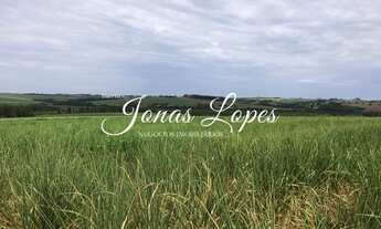 Imagem 2: L Alqueires em Cana - Indianopolis - Paraná