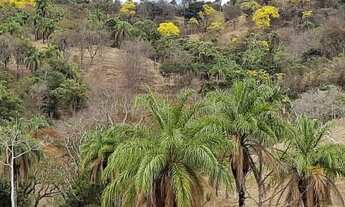 Imagem 3: Terreno de 37,5 hectares em Mateus Leme