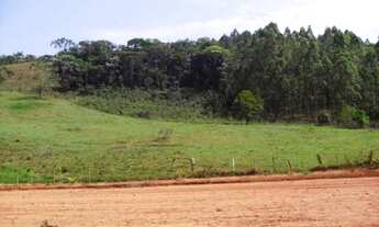 Imagem 7: VIçOSA - Chácara - Zona Rural