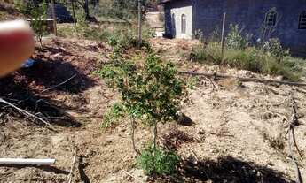 Imagem 7: Fazenda/Sítio/Chácara para venda tem 2700 metros quadrados em Rural - Abaeté - MG