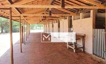 Imagem 3: Santo Antônio de Posse, Haras