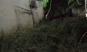 Imagem 7: Residencial - Vila Progredior