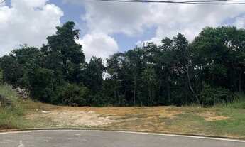 Imagem 2: Lote Confominio Fechado Alphavile 1 Salvafor