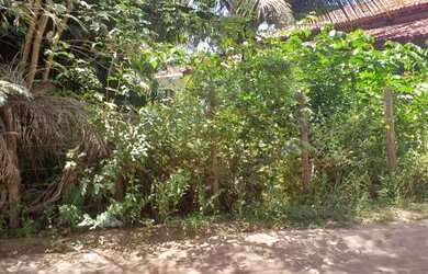 Imagem 5: Lote/Terreno para venda de 800 m2 em Barra Grande - Maraú - Bahia