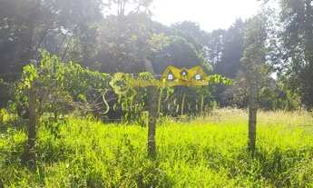 Imagem 6: Terreno Urbano com 924m² - Bairro Orfãs