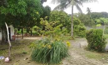 Imagem 6: Chácara desmembrada em lotes em Ponta de Areia, Ilha de Itaparica