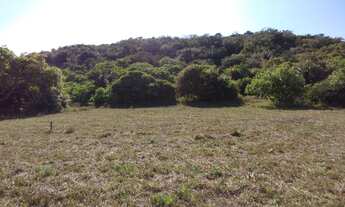 Imagem 4: Área rural 106 hectares em Conde Bahia