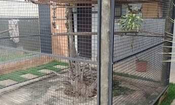 Imagem 3: Linda casa moderna para venda com vista privilegiada . Cond Palmerias Imperiais em Salto S