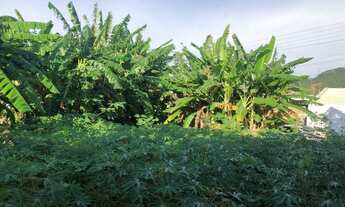 Imagem 4: Terreno para Venda em Palhoça, São Sebastião