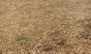Imagem 5: Fazenda em santa vitória 37 alqueirão 11.840.000.00 ( ja - ali