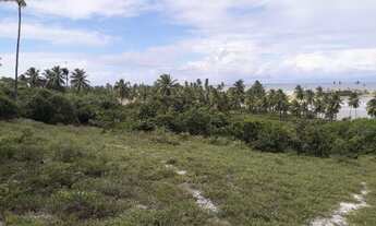 Imagem 4: Área Frontal 36000 m² em Barra do Itariri