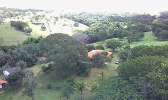 Imagem 2: Fazenda 31 Alq, Vianopolis-GO
