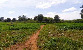 Imagem 2: Fazenda com 530 hectares em Campo Maior -Piauí, terra para lavoura, excelente solo!