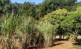 Imagem 5: Fazenda 13,1ha em Pedro Leopoldo, região da Serra do Cipó