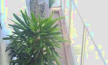 Imagem 4: Apartamento à venda, 76 m² por R$ 750.000,00 - Tijuca - Rio de Janeiro/RJ