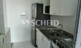 Imagem 5: Apartamento com 3 dormitórios para locação na Vila Santa Catarina