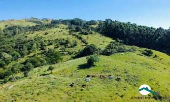 Imagem 2: Terreno à venda, 20000 m², Imaruí SC