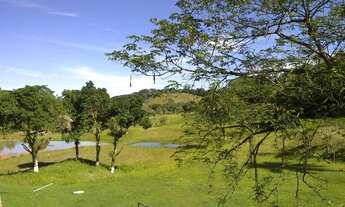 Imagem: Sítio em Guapimirim cercado pela natureza