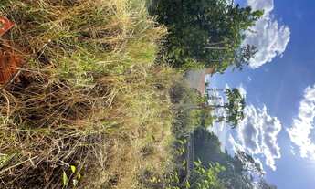 Imagem 4: Imóvel para venda possui 320 metros quadrados em Jardim América - Campinas - São Paulo,tod