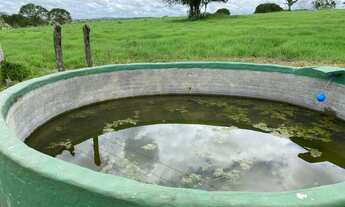 Imagem 6: Fazenda a beira da barragem pedra do cavalo - Bahia