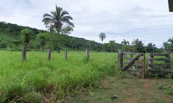 Imagem 4: Fazenda Maravilhosa em Barão de Melgaço MT