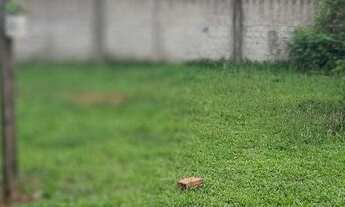 Imagem 4: Oportunidade Casa com 2 dormitórios