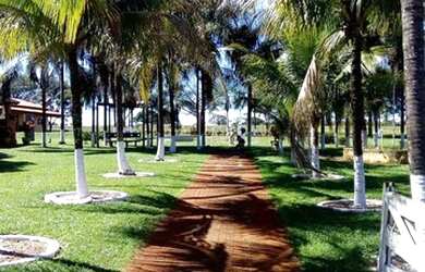 Imagem 6: Fazenda/Sítio/Chácara para venda com 6 Alqueires em Uberaba