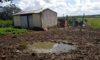 Imagem 6: Fazenda/Sítio Fazenda / sítio com venda por R$300.000