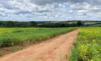 Imagem 3: Fazenda/Sítio/Chácara para venda possui 72600 metros quadrados