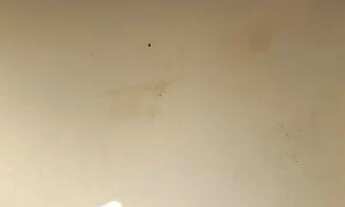 Imagem 3: Aluga-se Casa com 1 dormitório