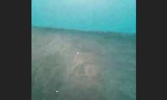 Imagem 4: Casa de aluguel Casa com 2 dormitórios