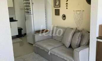 Imagem 3: São Paulo - Apartamento Padrão - Cambuci