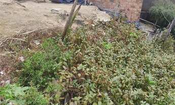 Imagem 5: Terreno Terreno / lote com venda por R$9.000