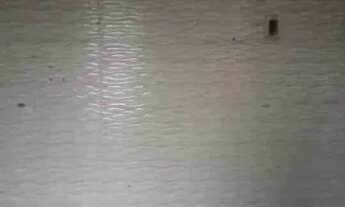 Imagem 7: Aluga se casa Casa com 1 dormitório