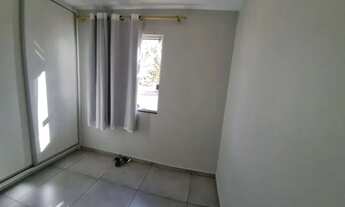 Imagem 6: Aluguel no mangueiral