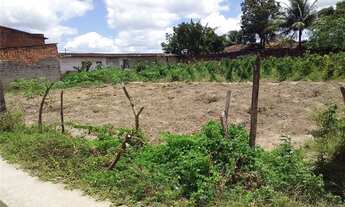 Imagem 6: Venha construir sua casa