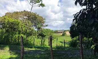 Imagem: Casa Com Terreno Amplo Proximo Ao Alchimist