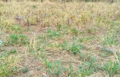 Imagem 5: Fazenda/Sítio/Chácara para venda possui 5000 metros quadrados em Ceilândia Norte - Brasíli