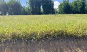 Imagem 3: Vendo terreno de 1000m2 com acesso pela Dom Pedro I