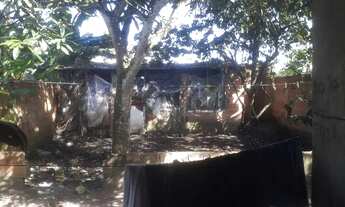 Imagem 4: CASA POV.TREZE RS 35.000,00