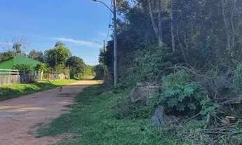 Imagem 3: Terrenos- BAIRRO VILA GARCIA