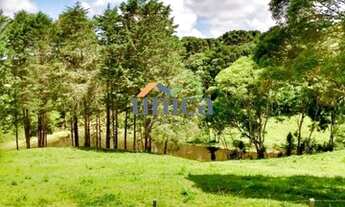 Imagem 5: Chácara - São Bento do Sul