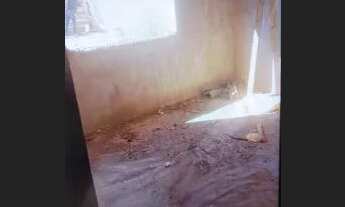 Imagem 2: Vendo este imóvel no São Sebastião